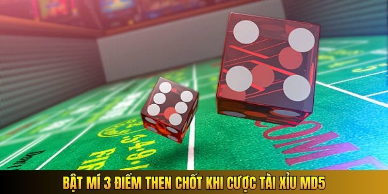 Bật mí 3 điểm then chốt khi cược Tài Xỉu MD5