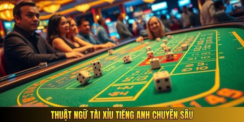 Thuật ngữ Tài Xỉu tiếng Anh chuyên sâu